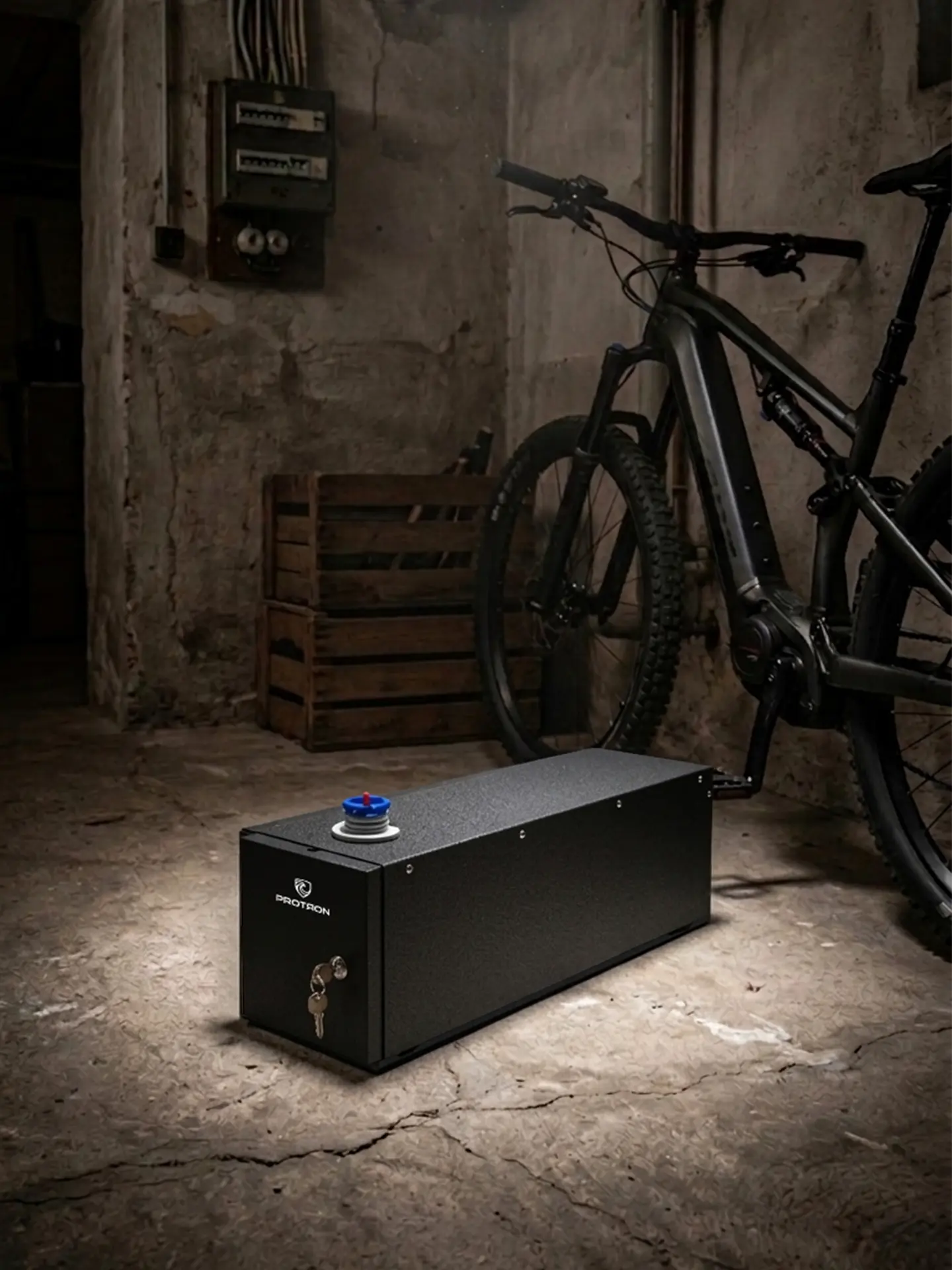 Protron - Secure Battery Storage (SBS)